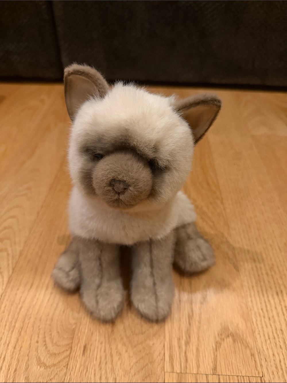 Douglas Siamese Cat Plush Stuffed Animal Cream & Brown